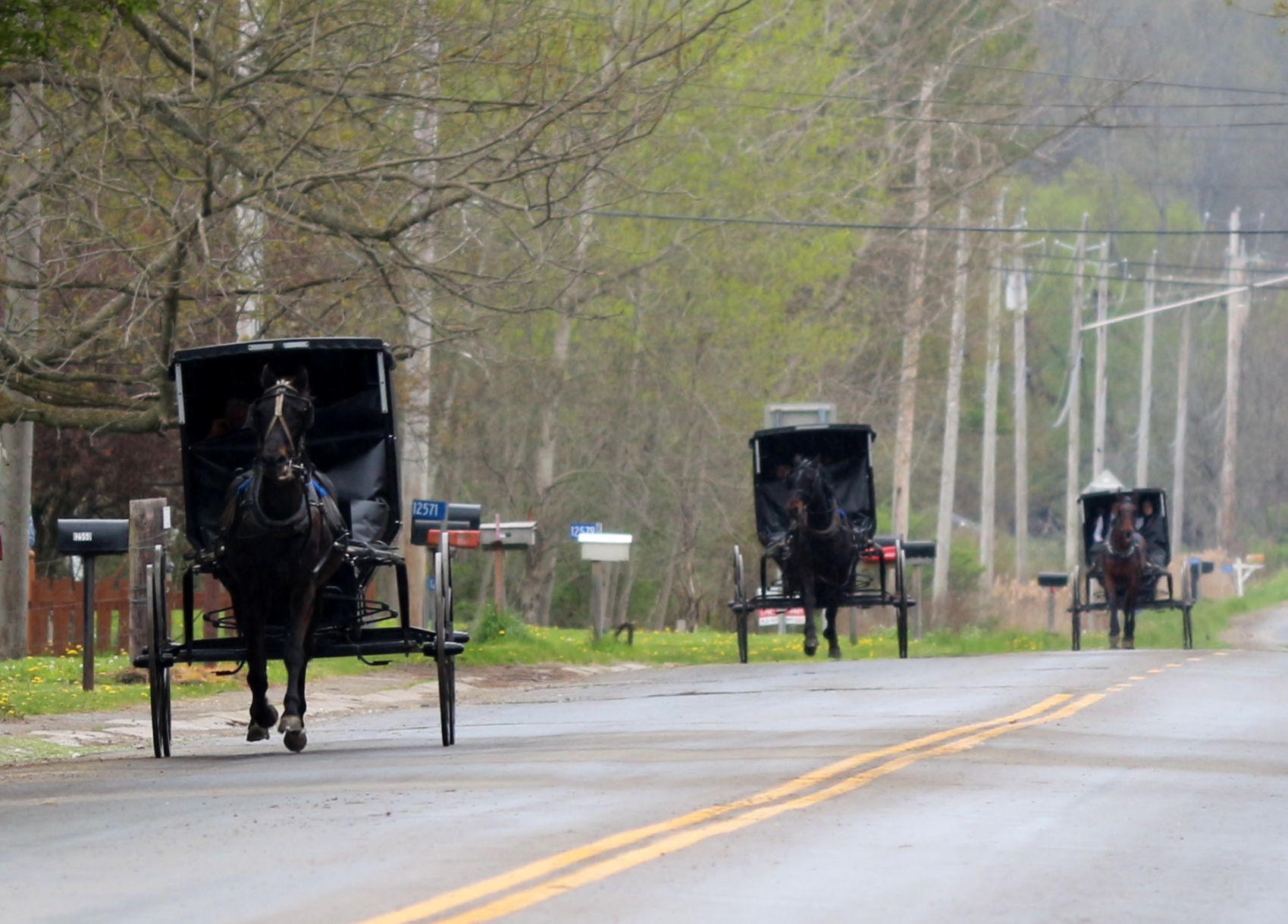 Amish buggies maintaining social distance
